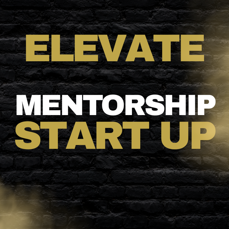 MENTORSHIP FEE (STARTUP)
