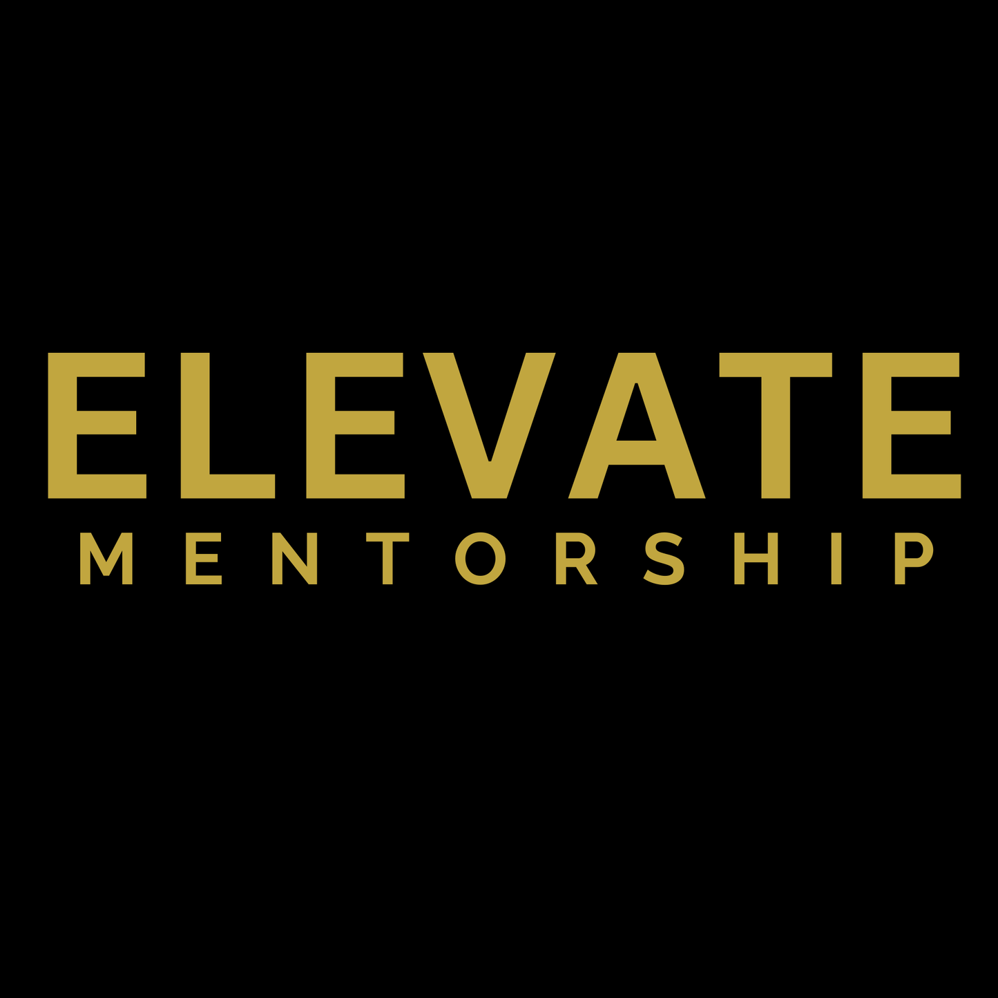 ELEVATE MENTORSHIP (MONTHLY)